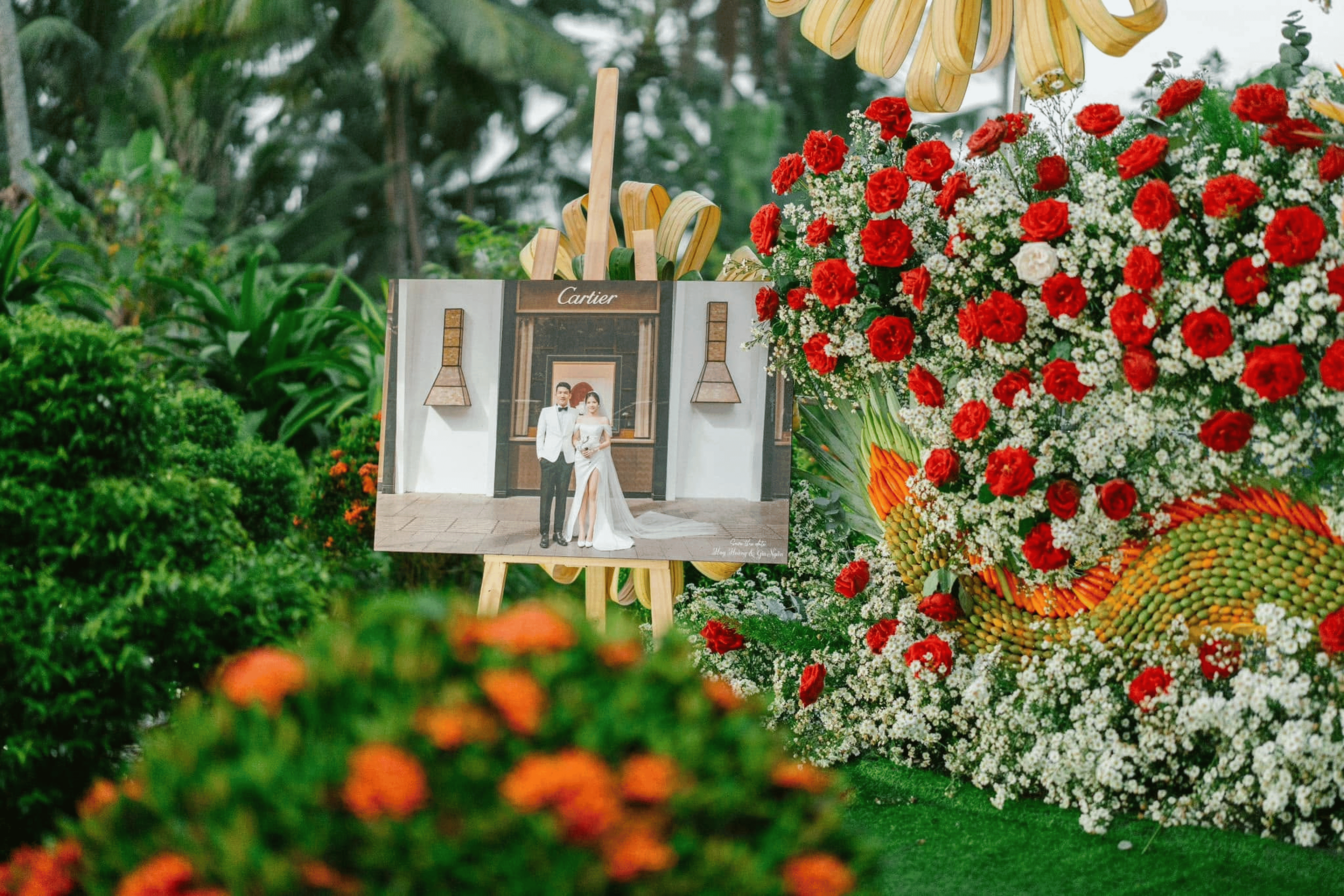 Backdrop Chụp Hình 16