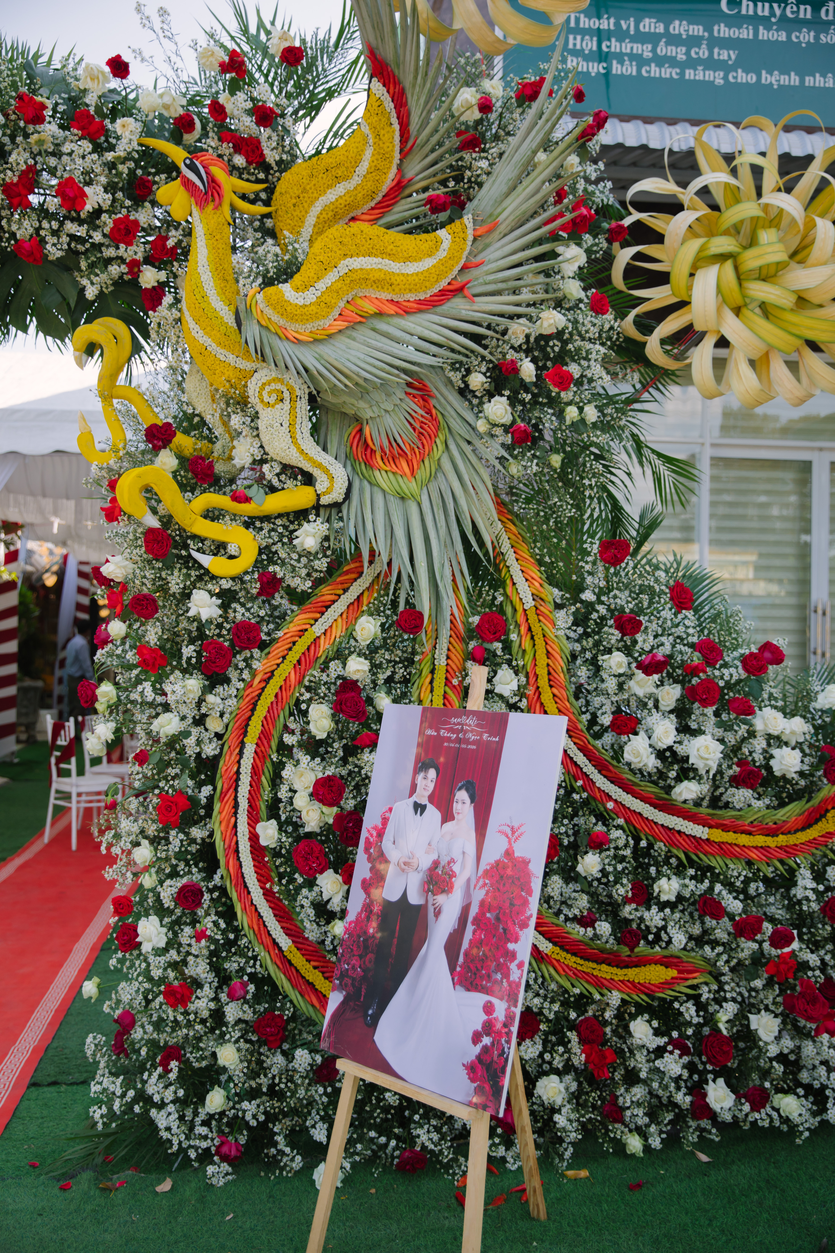Backdrop Chụp Hình 4