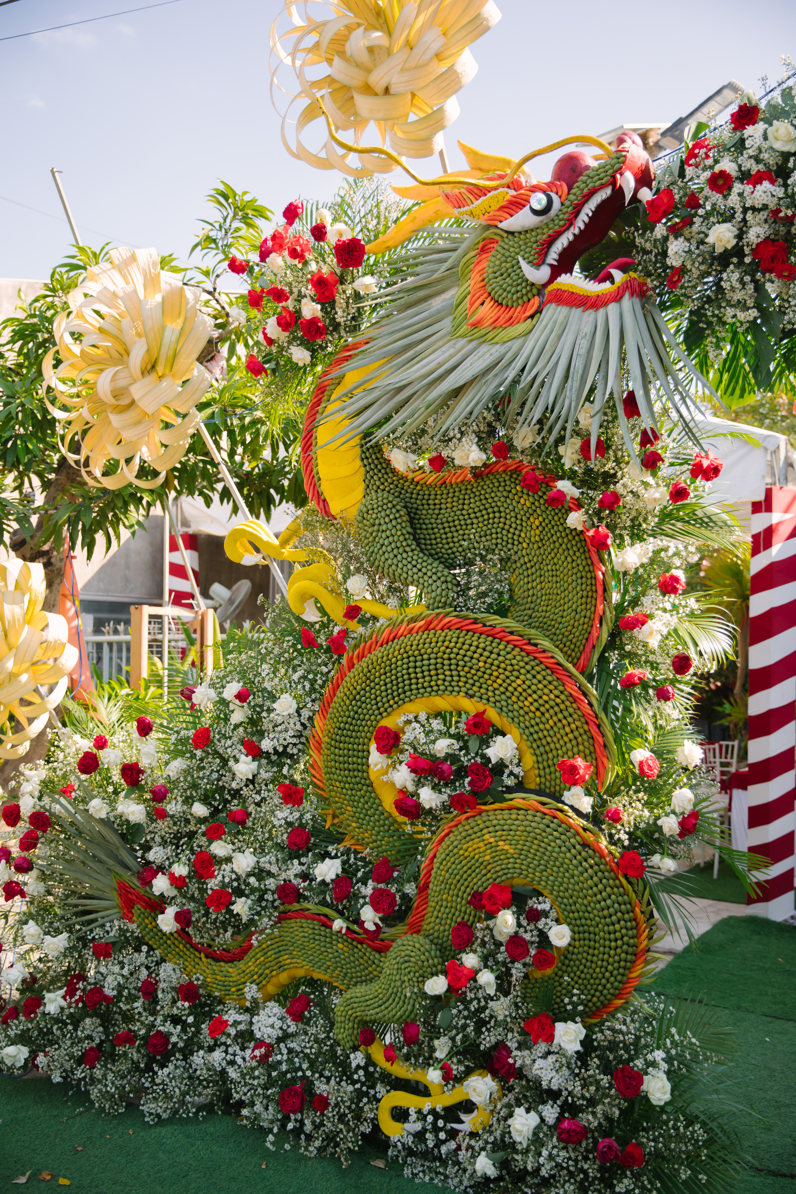 Backdrop Chụp Hình 5